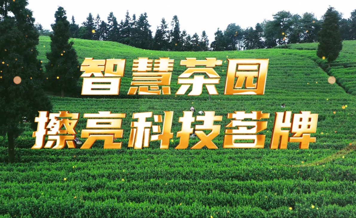qy·球友会(中国)茶园，擦亮科技茗牌